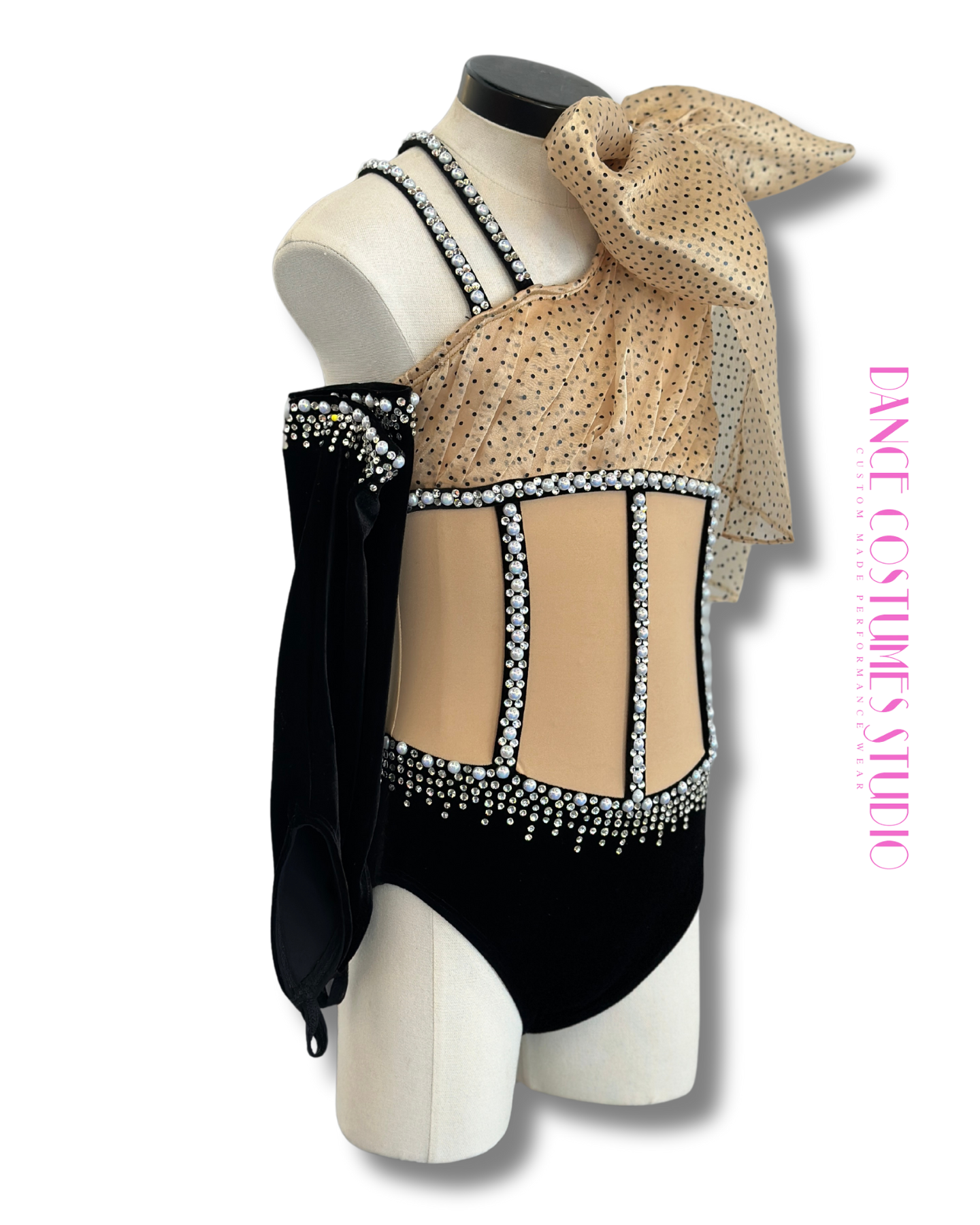 Anica Dance Costume