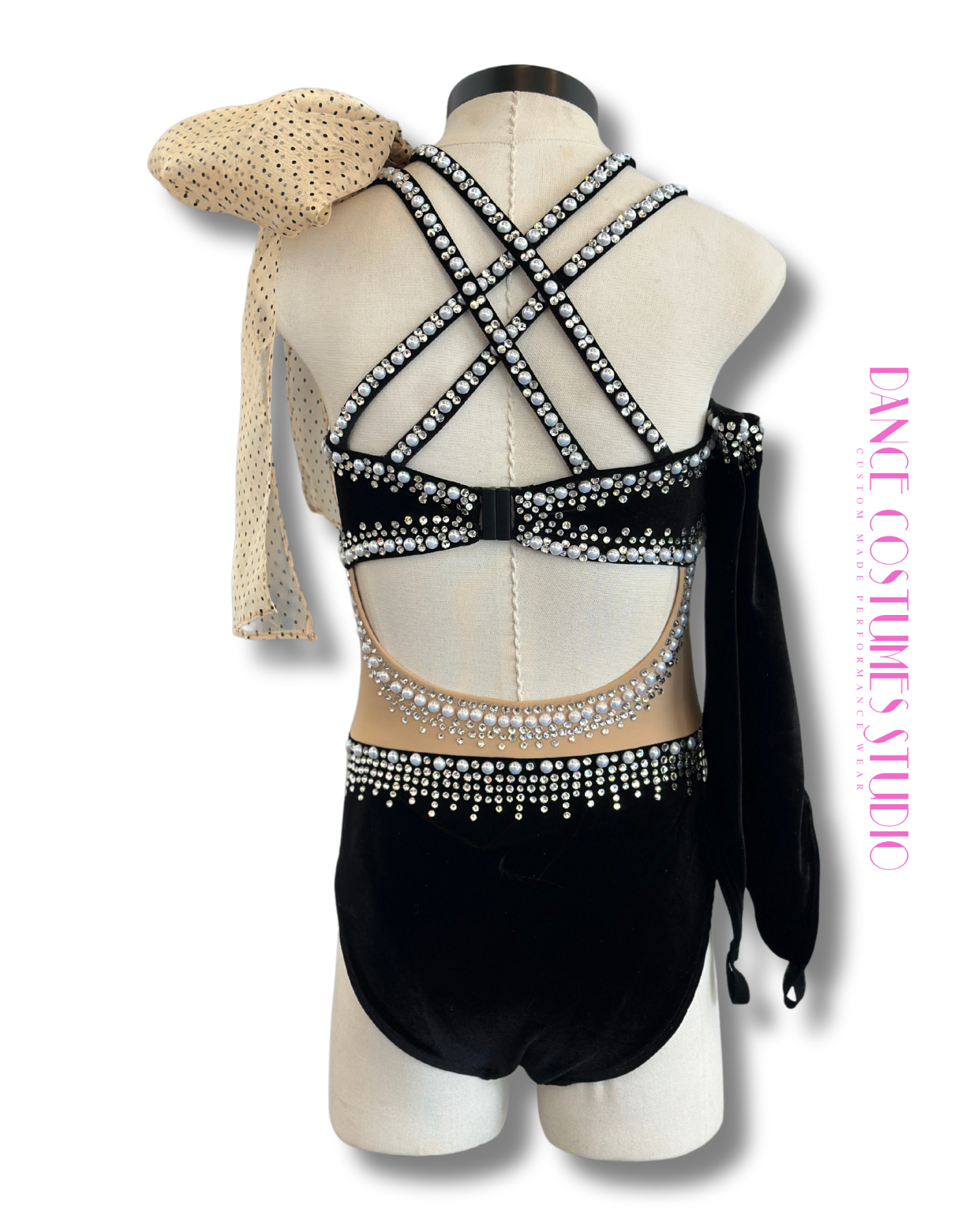 Anica Dance Costume