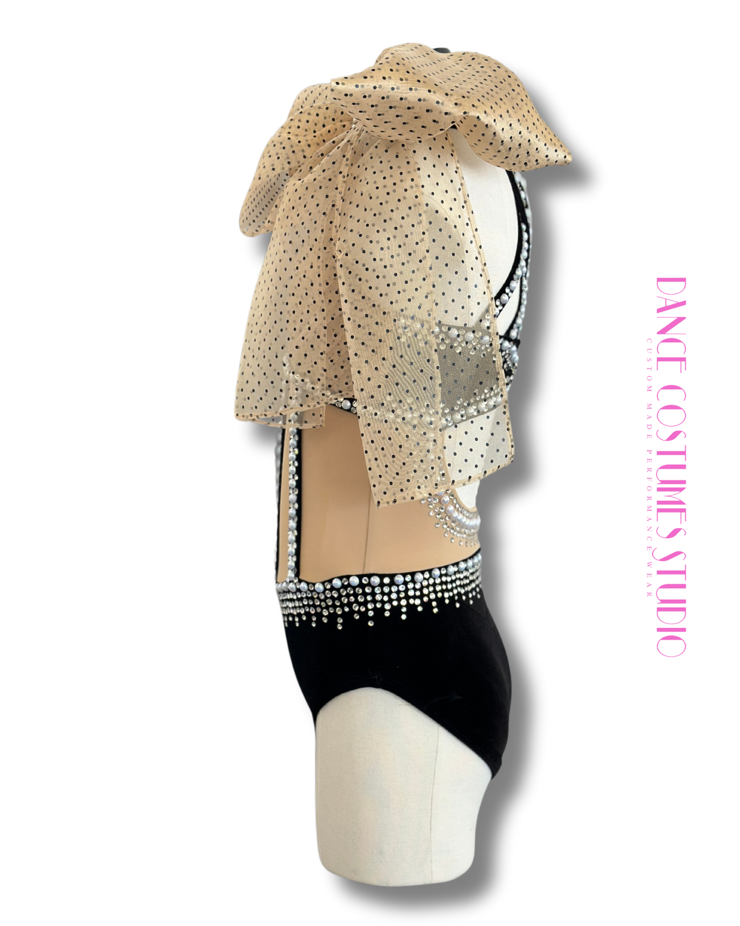 Anica Dance Costume