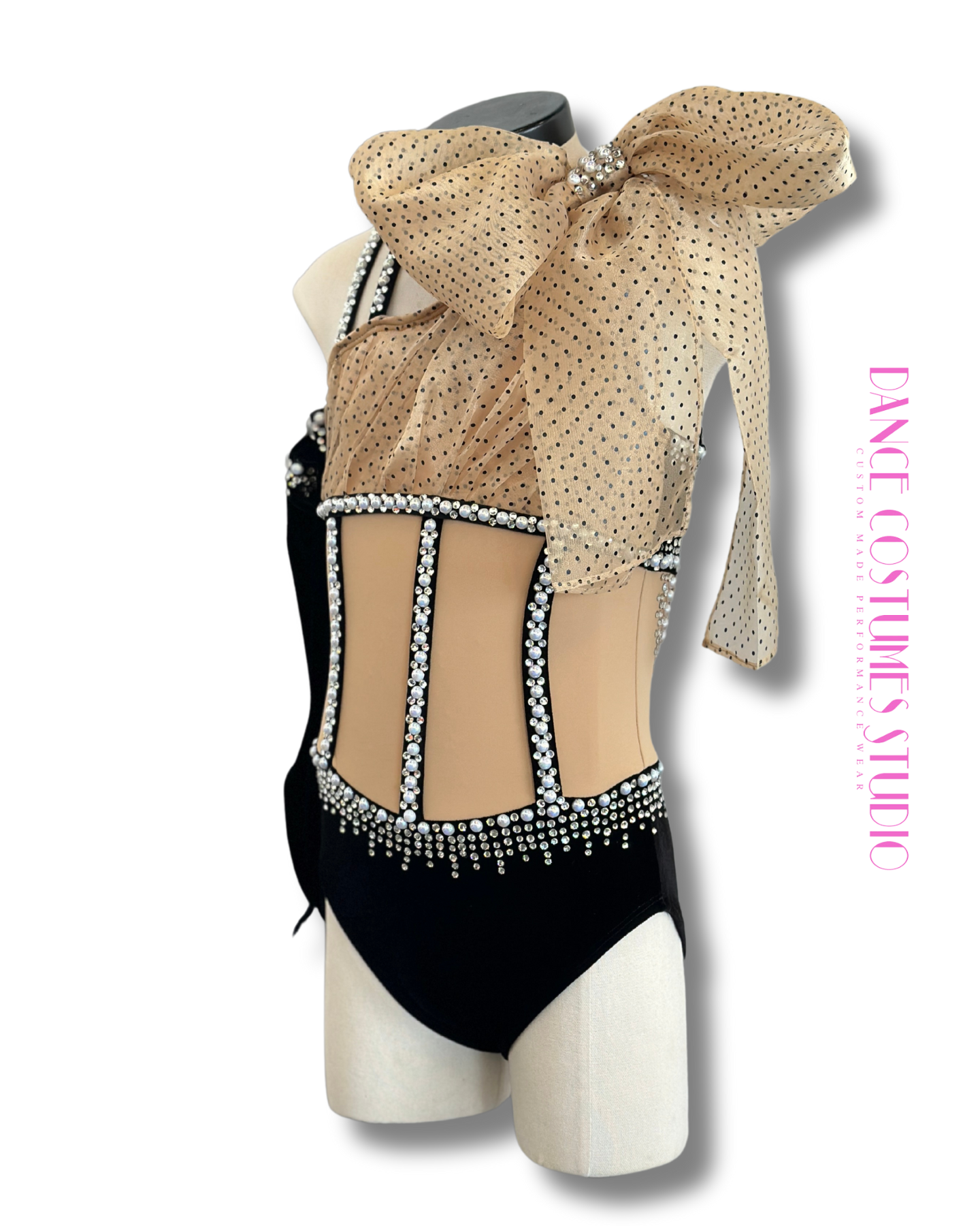 Anica Dance Costume