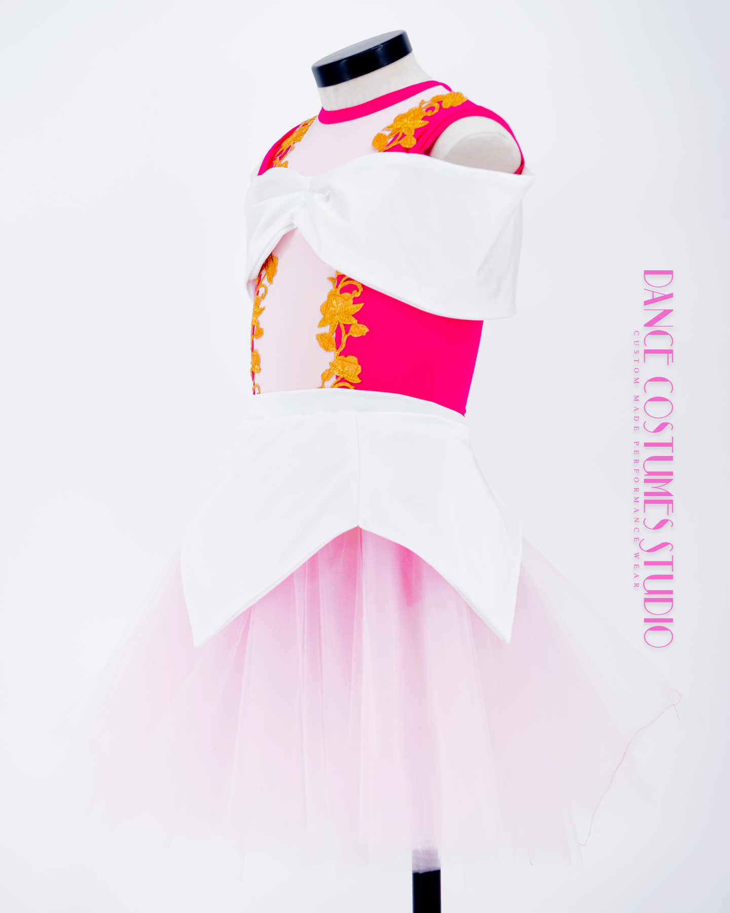 Princesse Aurora Theme Dance Costume