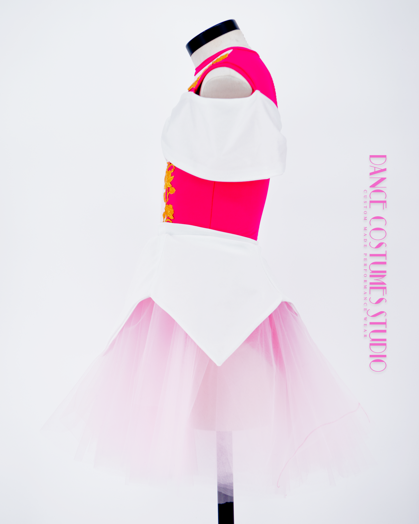 Princesse Aurora Theme Dance Costume