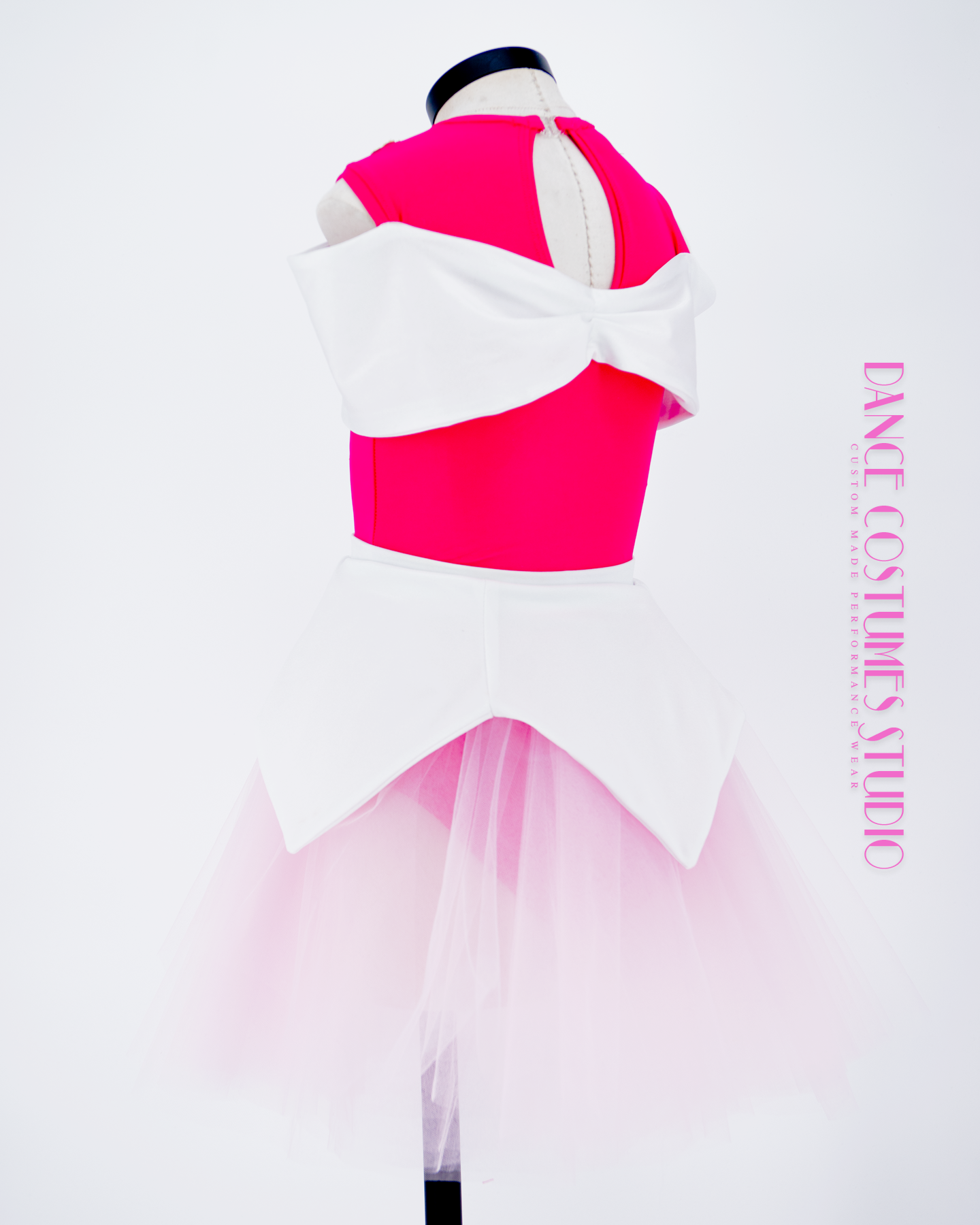 Princesse Aurora Theme Dance Costume