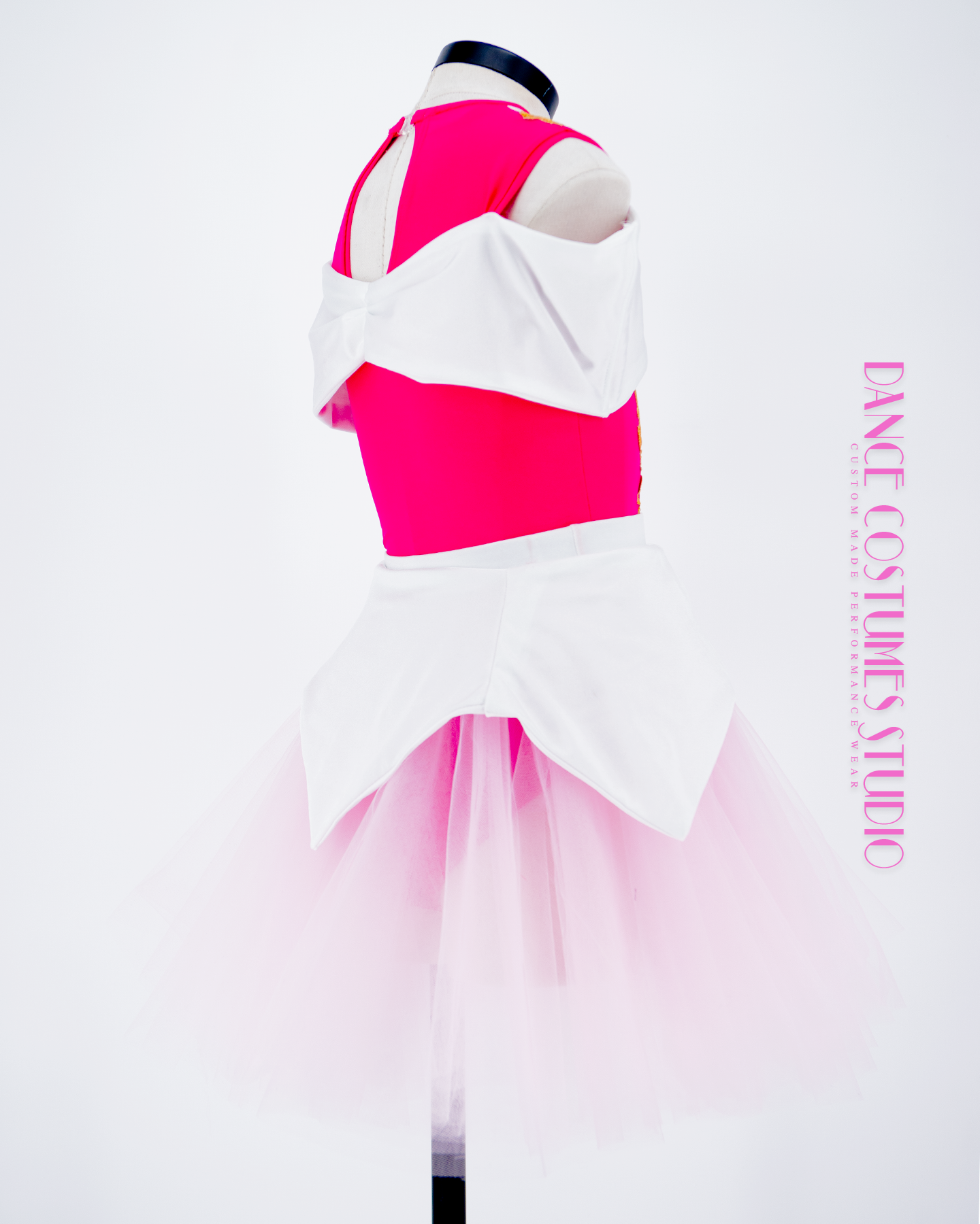 Princesse Aurora Theme Dance Costume