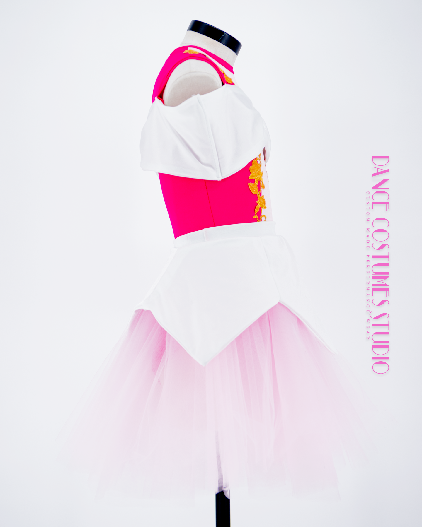 Princesse Aurora Theme Dance Costume