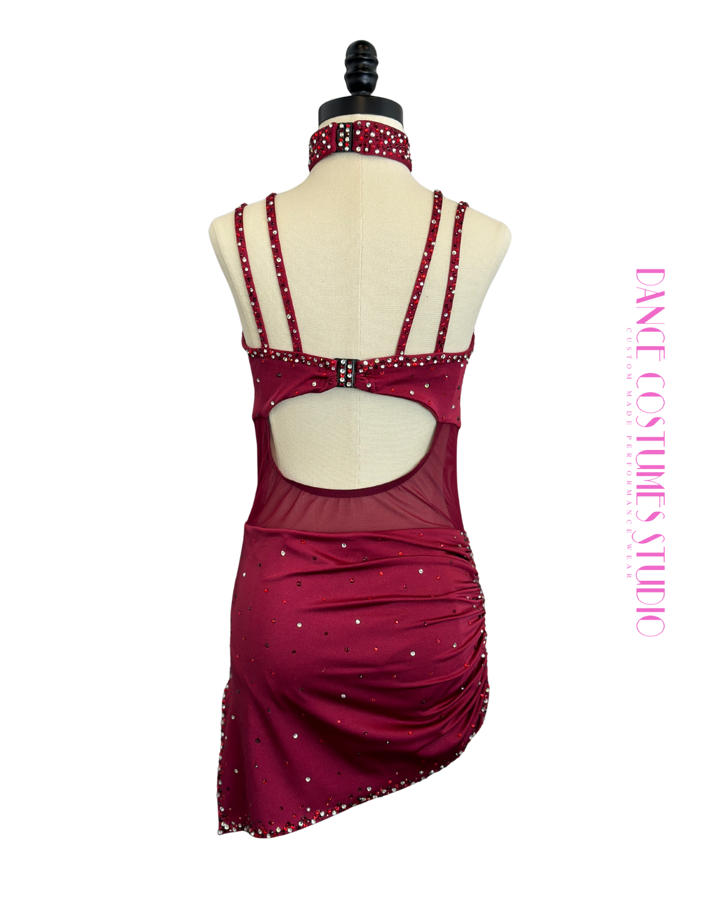 Lucina Lyrical Dance Costume