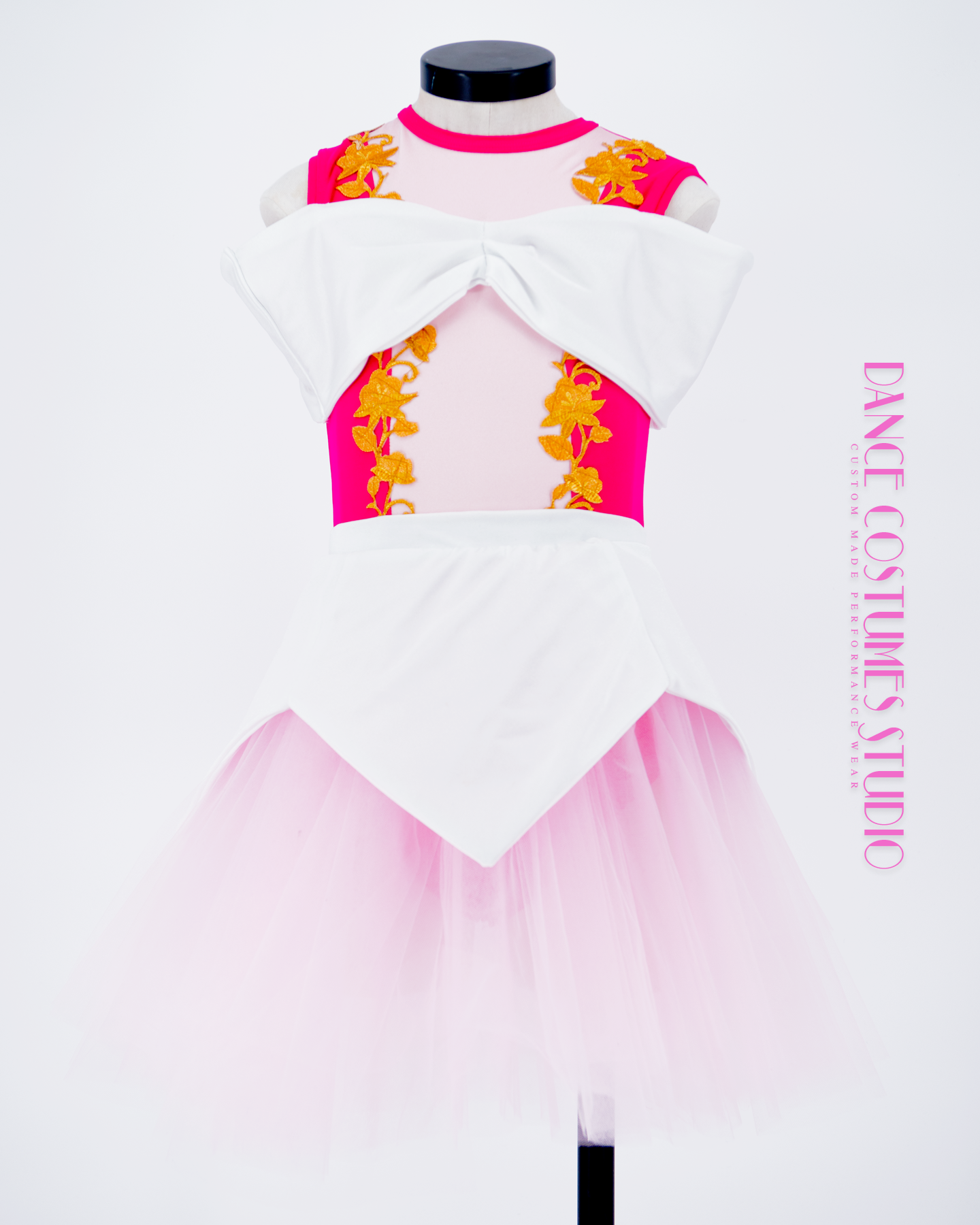 Princesse Aurora Theme Dance Costume