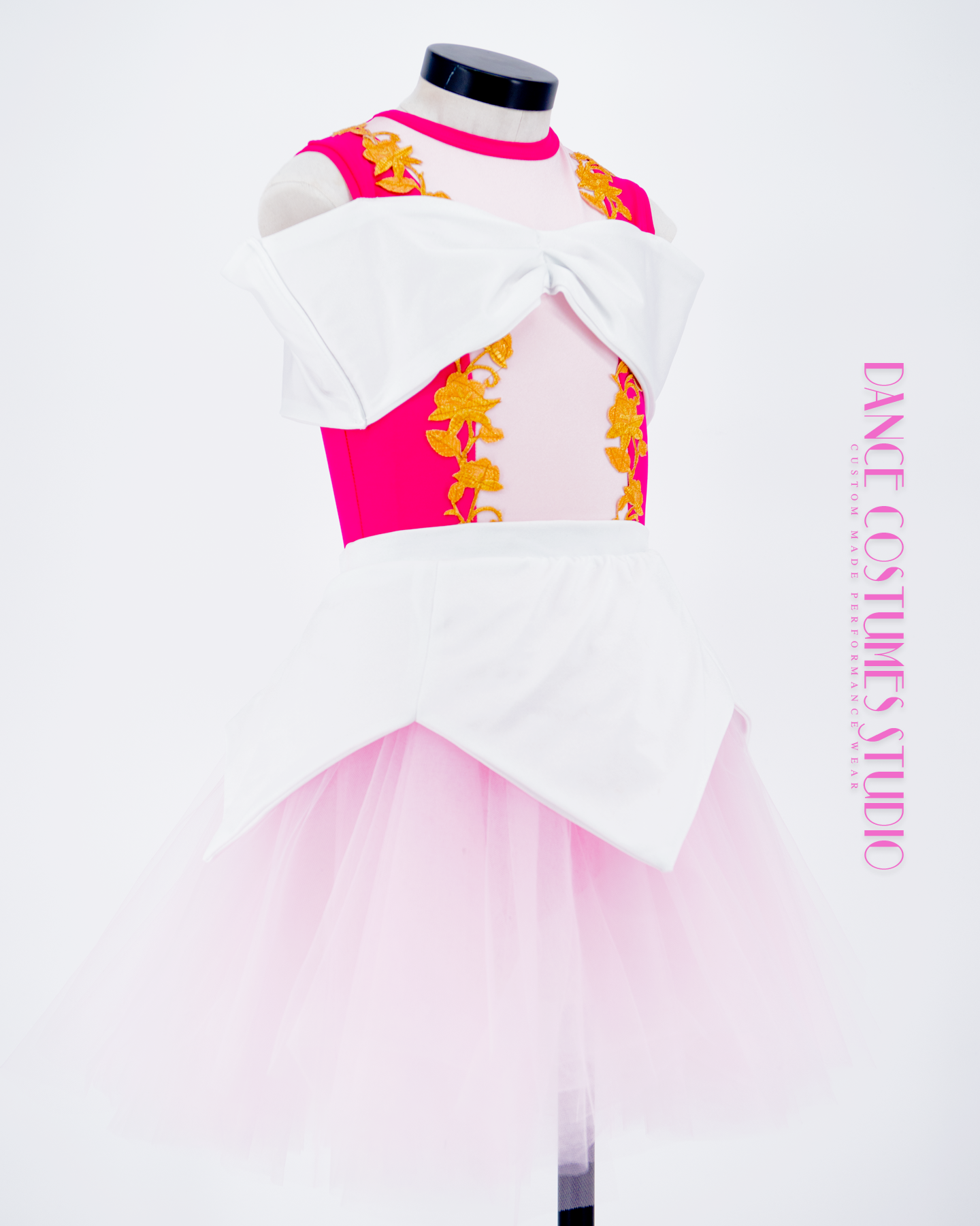 Princesse Aurora Theme Dance Costume