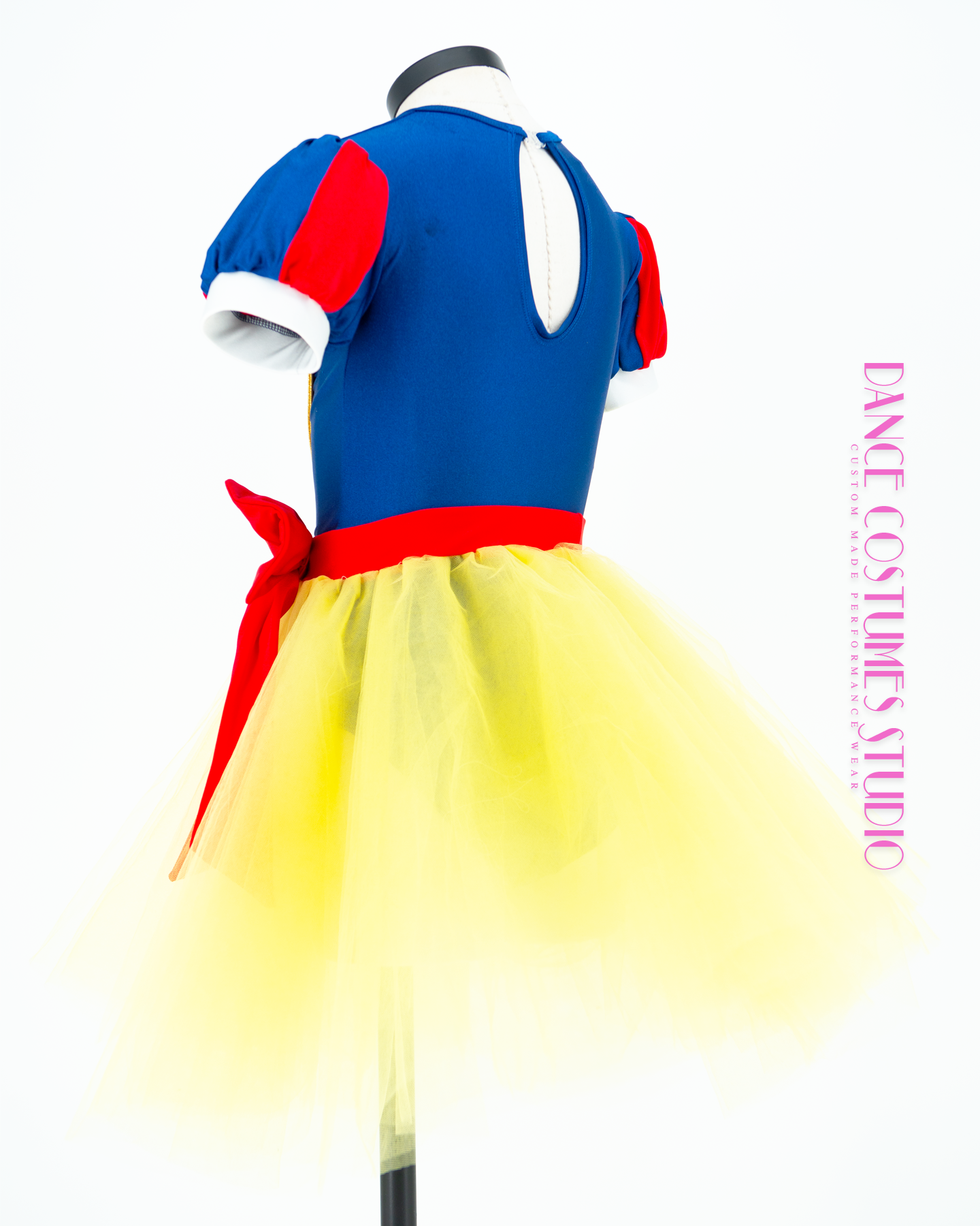 Snow White Theme Lyrical Dance Costume