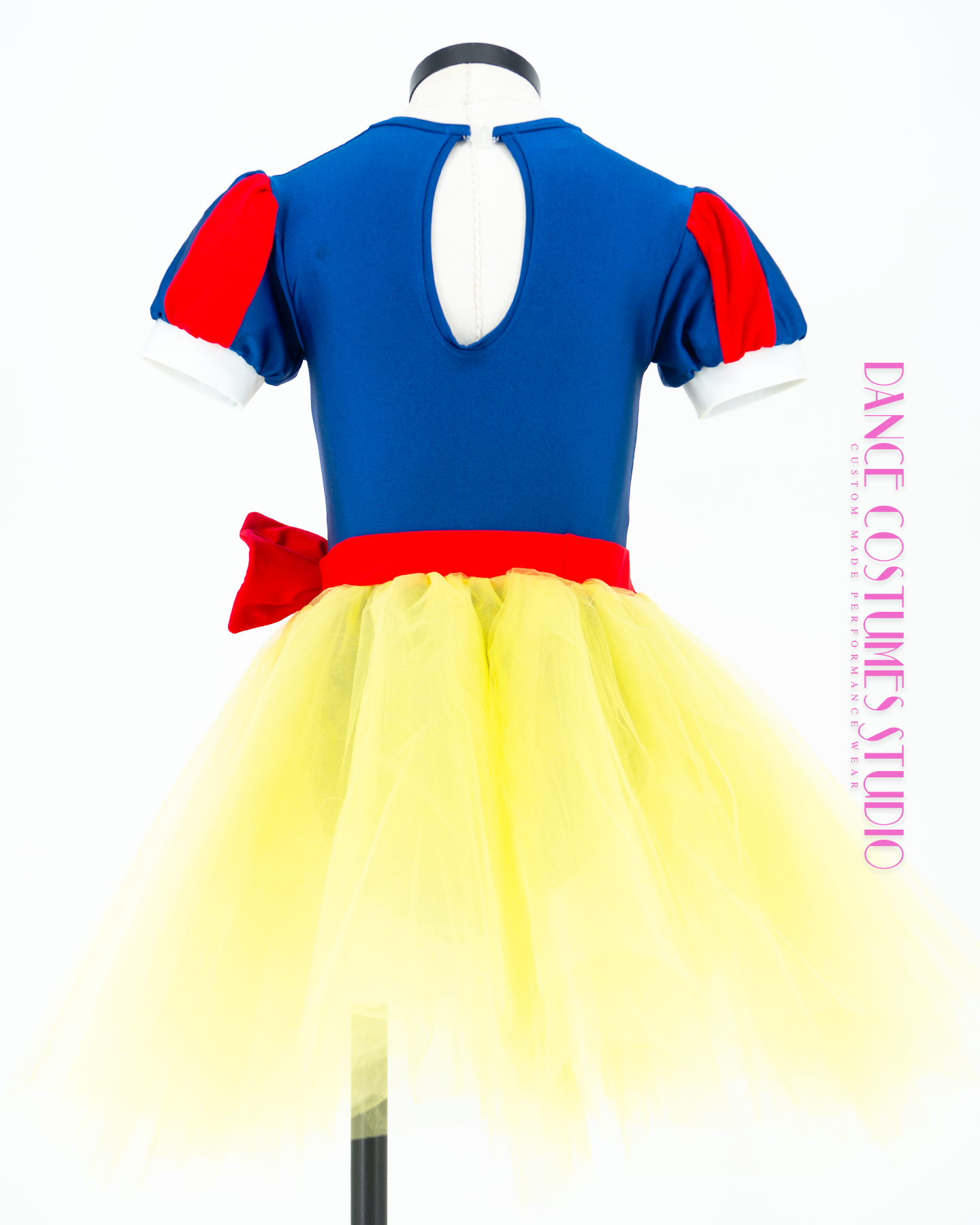 Snow White Theme Lyrical Dance Costume