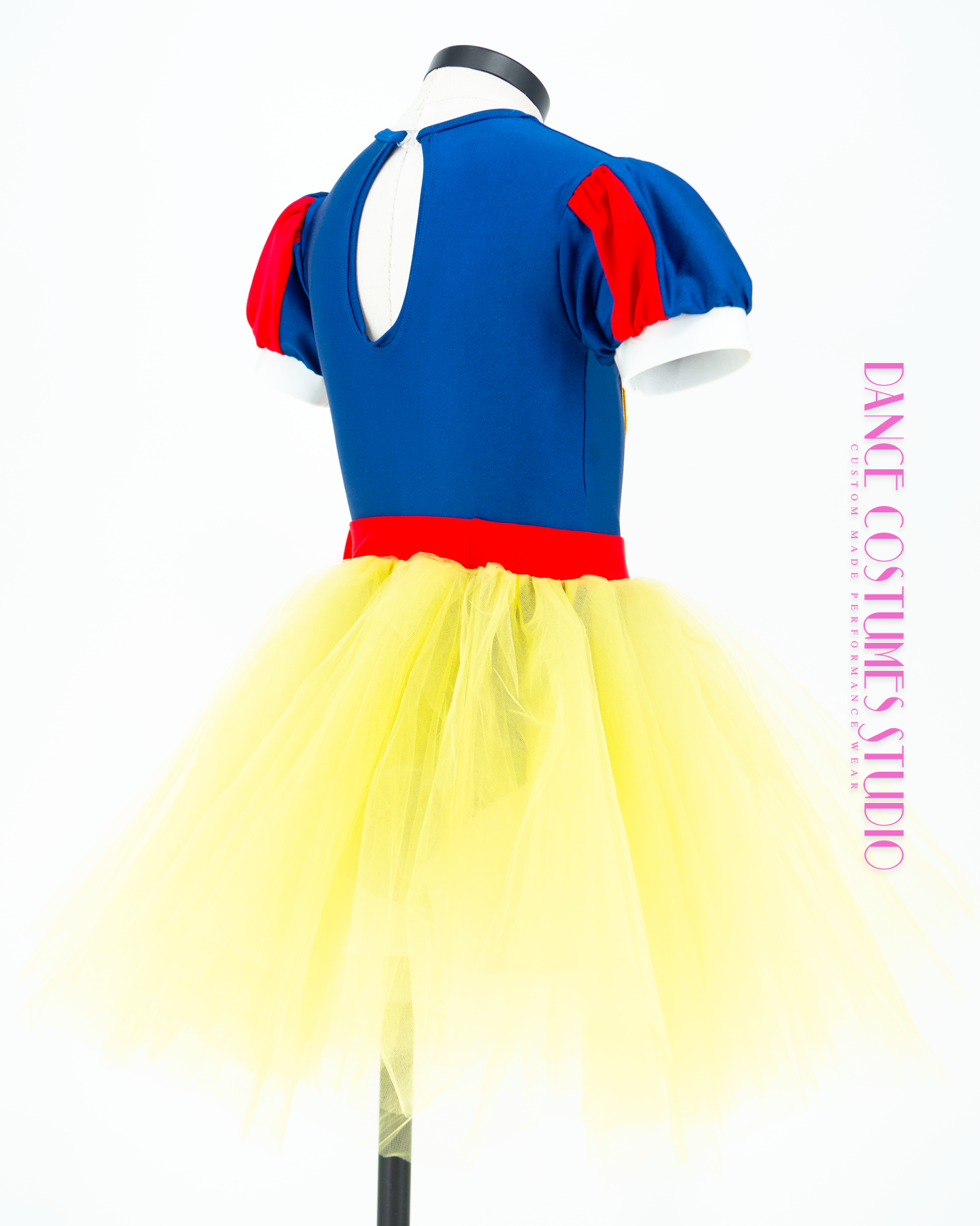 Snow White Theme Lyrical Dance Costume