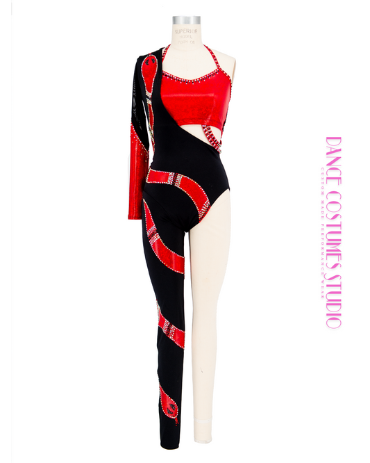 The Snake Theme Lyrical Dance Costume