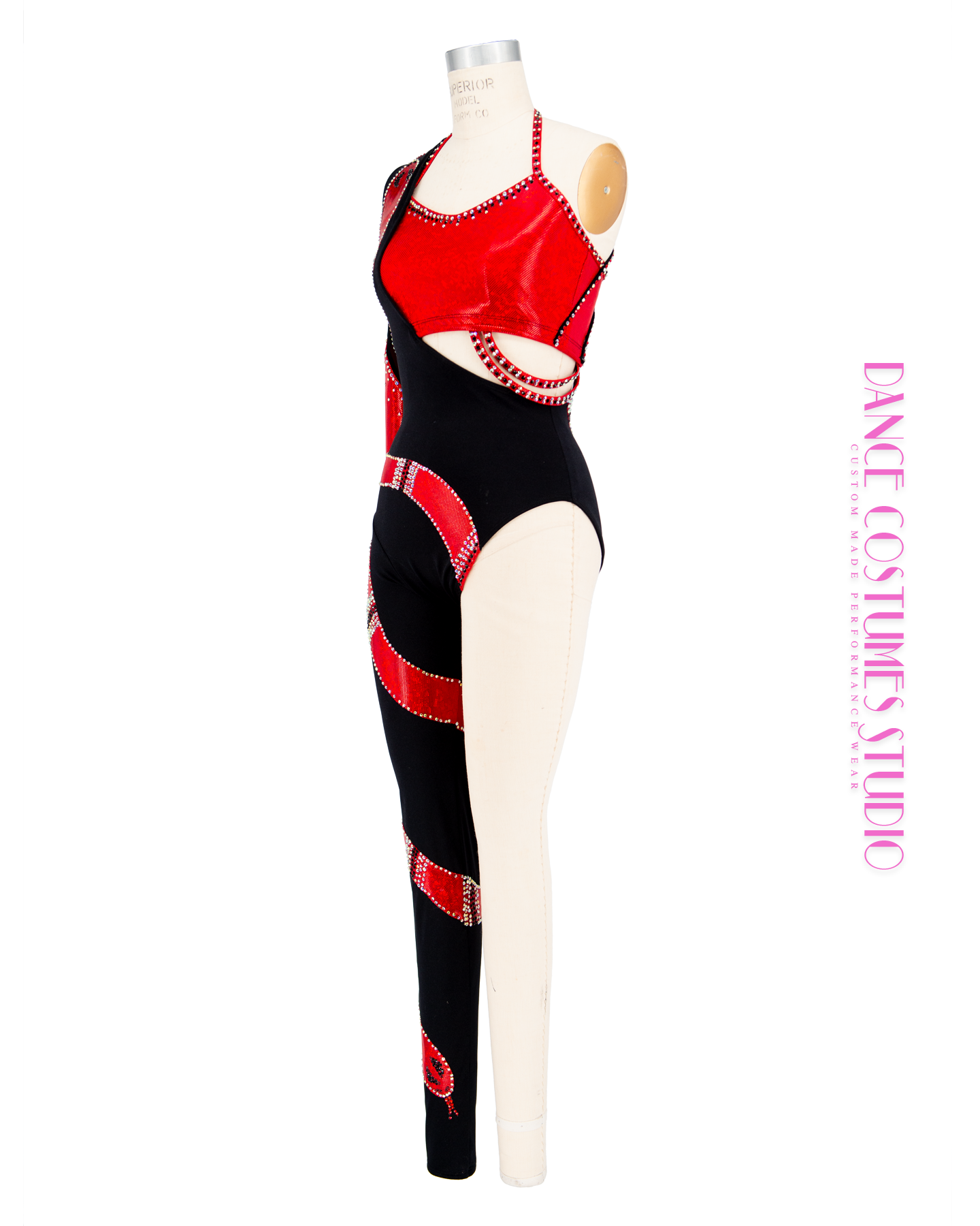 The Snake Theme Lyrical Dance Costume