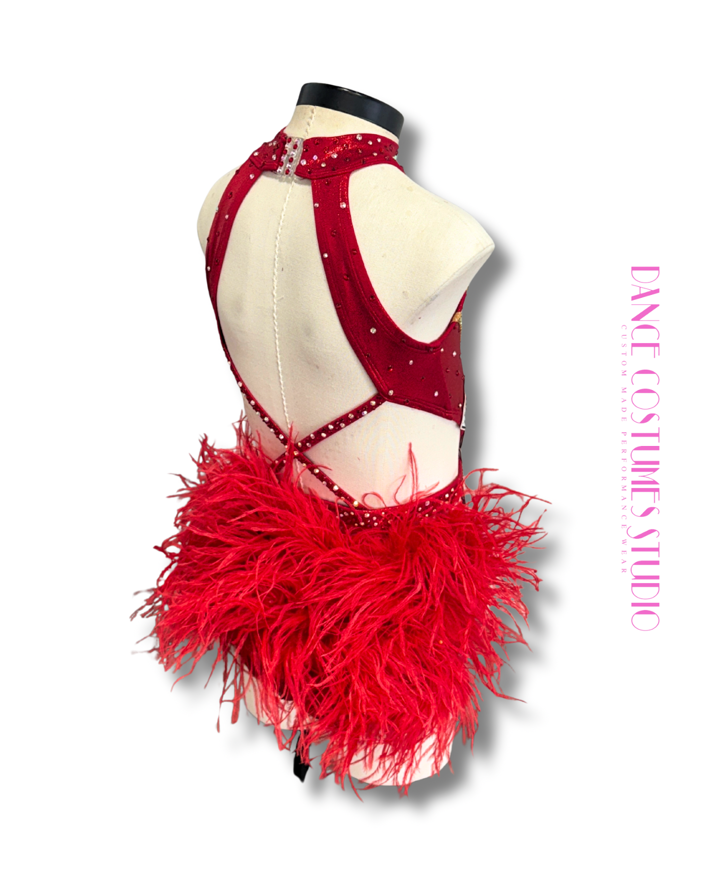 Calyra Jazz or Theme Dance Costume