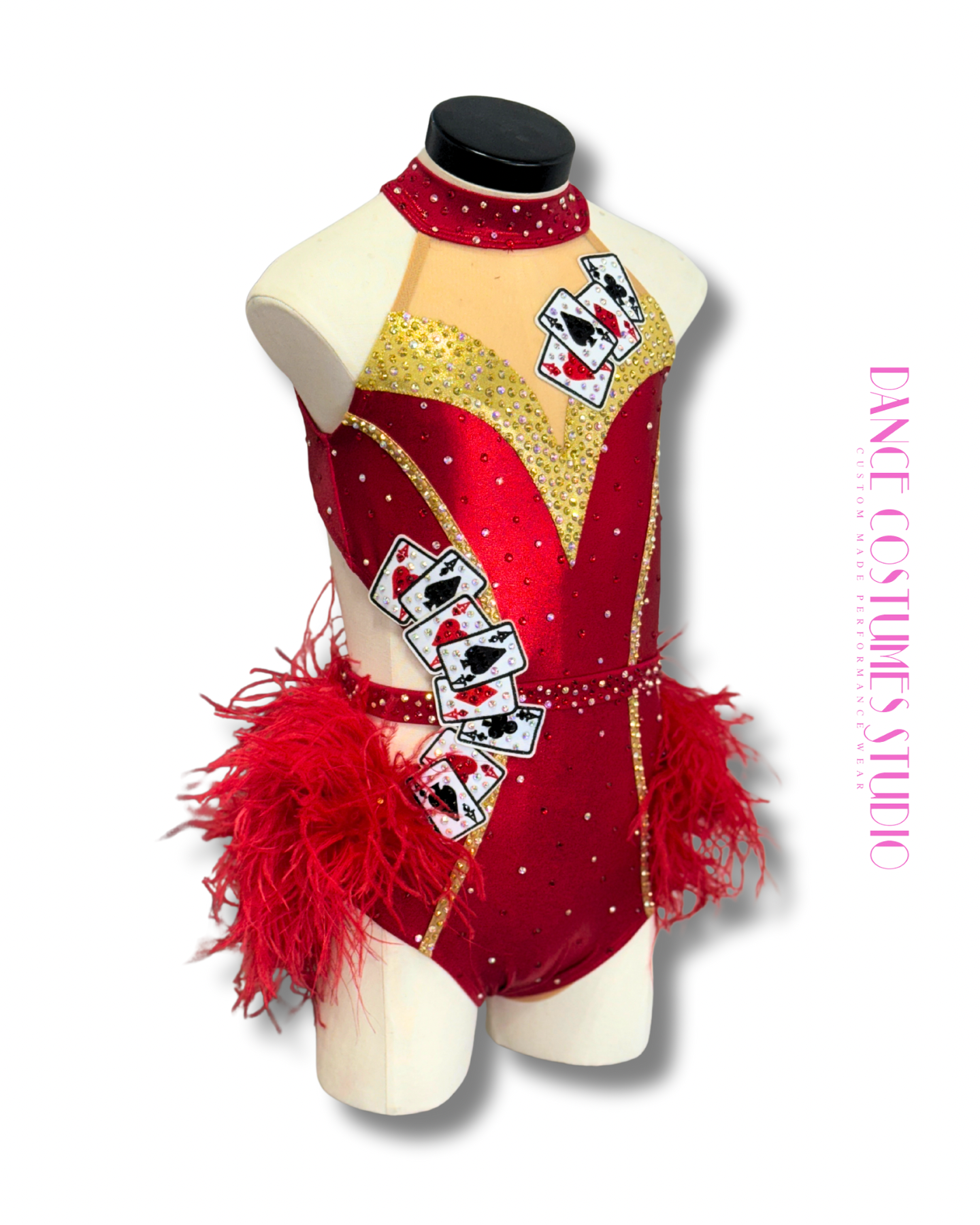 Calyra Jazz or Theme Dance Costume