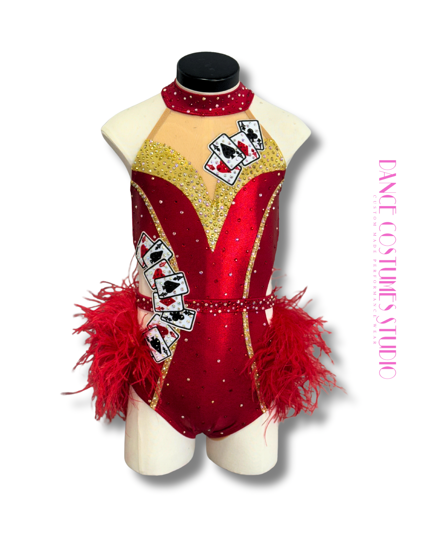 Calyra Jazz or Theme Dance Costume