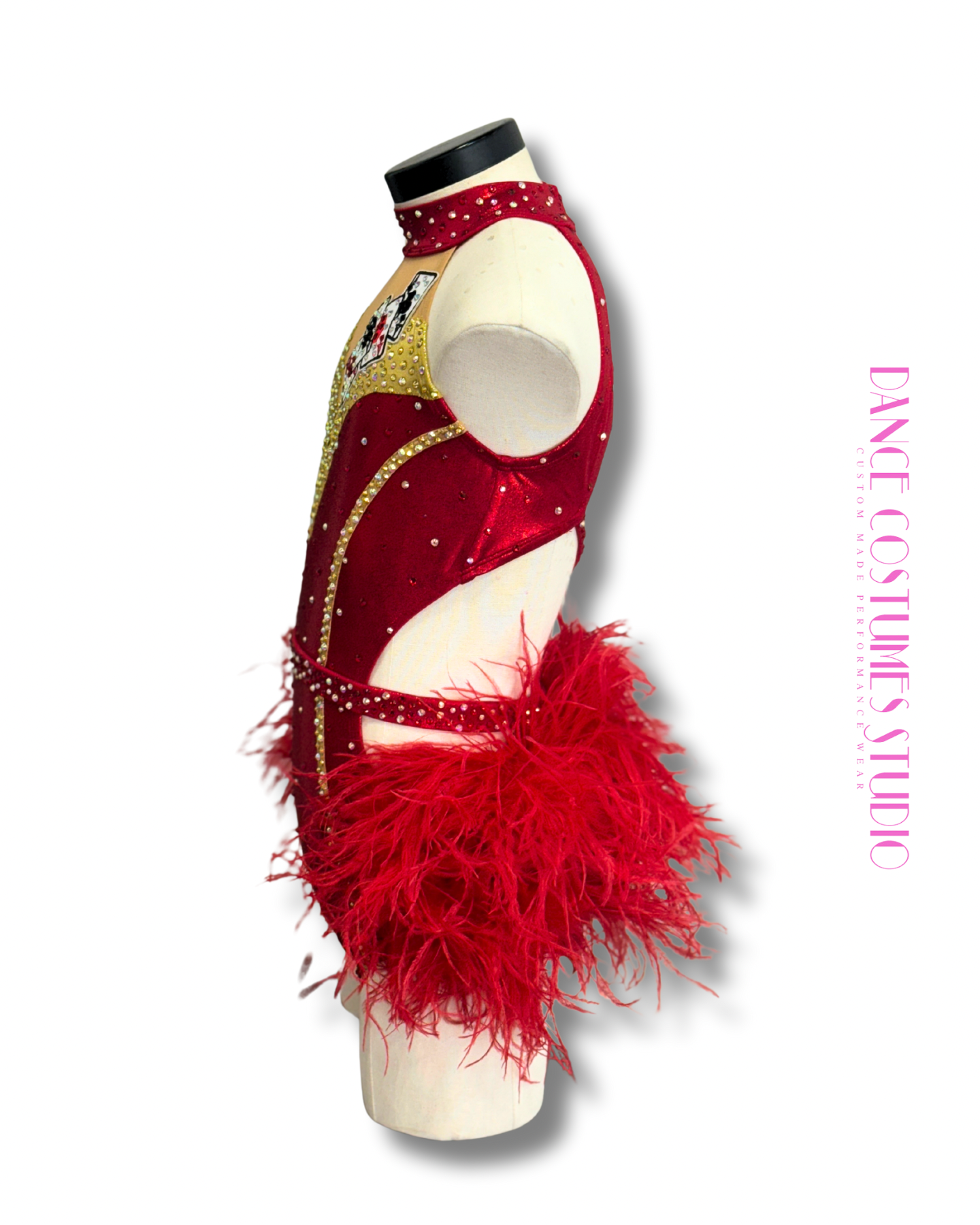 Calyra Jazz or Theme Dance Costume