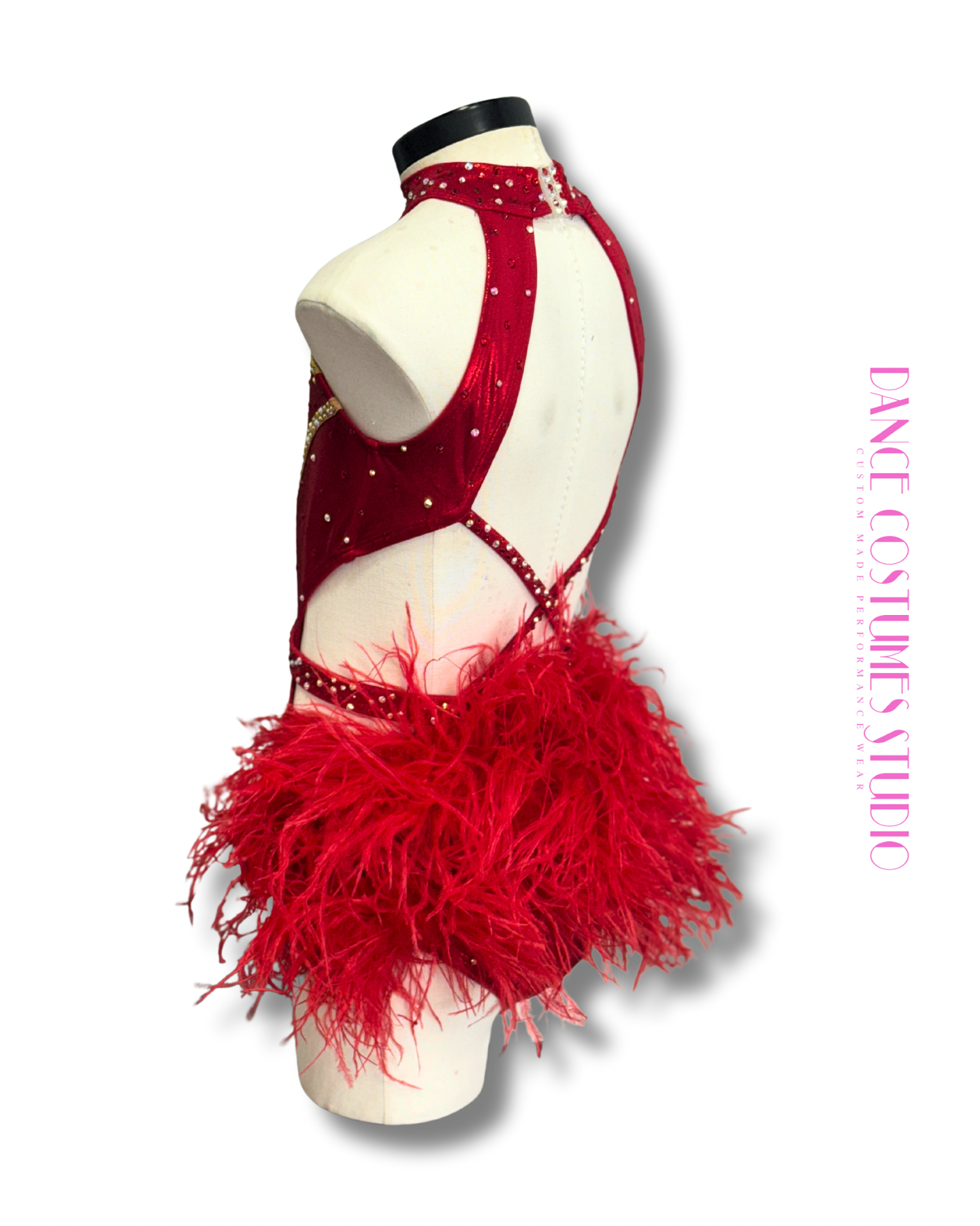 Calyra Jazz or Theme Dance Costume