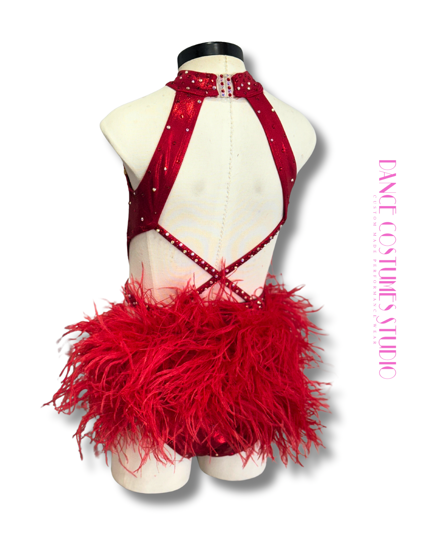 Calyra Jazz or Theme Dance Costume